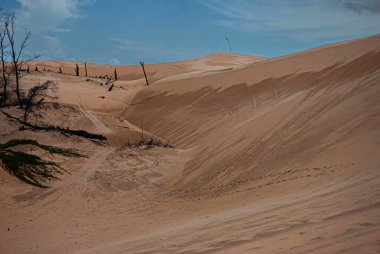  Brezilya 'daki Maranh çarşaflarındaki sarımsı kum tepecikleri kuru ve koyu bitki örtüsüyle