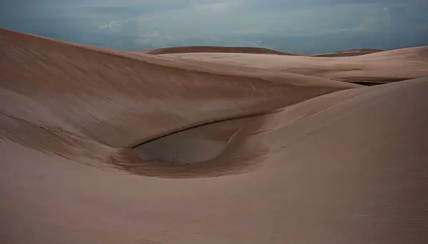  Brezilya 'daki Maranh çarşaflarındaki sarımsı kum tepecikleri kuru ve koyu bitki örtüsüyle