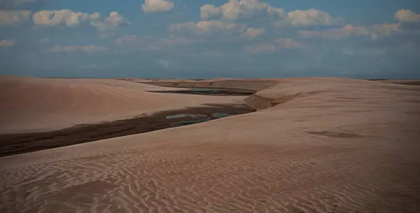  Brezilya 'daki Maranh çarşaflarındaki sarımsı kum tepecikleri kuru ve koyu bitki örtüsüyle