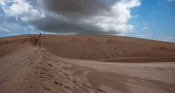  Brezilya 'daki Maranh çarşaflarındaki sarımsı kum tepecikleri kuru ve koyu bitki örtüsüyle