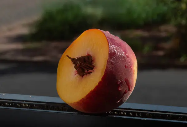 Derisindeki ıslak tohumları gösteren sarı bir şeftali, sulu ve canlı etini sergiliyor..