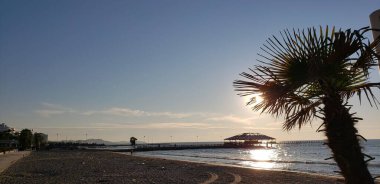 Bu görüntü, günbatımında sakin bir sahil sahnesini ön planda bir palmiye ağacı ve mesafeye uzanan huzurlu bir kıyı şeridini tasvir ediyor..