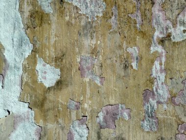 Çizik ve çatırtı olan duvar parçası. Renkli duvar kâğıdının deseni soyulan eski, kirli, deri döken arka plan sıvısı. Arka plan için yüzey duvarı betonu deseni. Gri arka plan eski rengi ve yumuşak arka plan deseni süngerlenmiş..