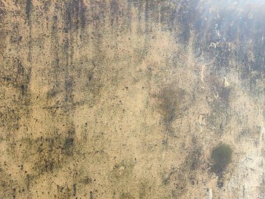 Çizik ve çatlaklarla duvarın alçı parçasını soyuyordum. Graffiti Sokak Sanatıyla Sorunlu Sarı Kahverengi Duvar. Arka plan ve Çizgiler Boyalı Çizgiler ve Çizgiler.