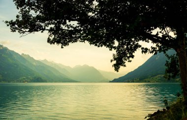 Bulutlu bir günde, ağaçlarla kaplı dağlarla çevrili yeşil, sakin bir göl. Önünde bir ağaç var.