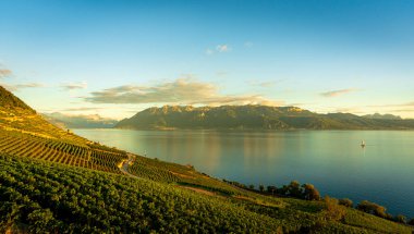 Arkasında ekili bir tarla, bir göl ve dağlar olan bir manzara. Gökyüzü açık ve güneş parlıyor. 