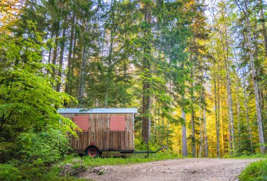 Gün batımında uzun ağaçların arasında terk edilmiş bir karavanı olan bir patika.