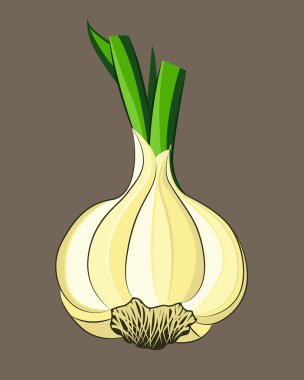 Sarımsak ampulünün resmi.