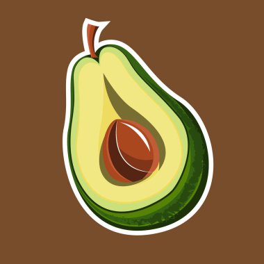 Taze avokado meyvesi çizimi