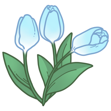 Beyaz lalelerin çizimi