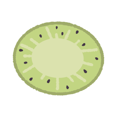 kiwifruit 'in vektör illüstrasyonu 