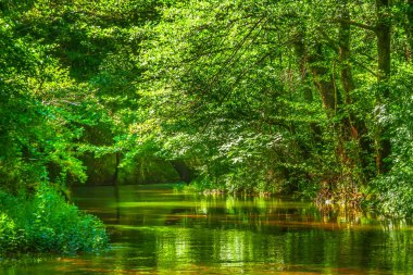 Occitanie 'de, Fransa' nın güneyindeki Orbieu Nehri.