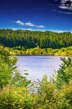 Fransa 'nın Occitanie bölgesindeki Montagne Noire kentindeki ormanlar, Kameralar Gölü' nü çevrelemektedir..