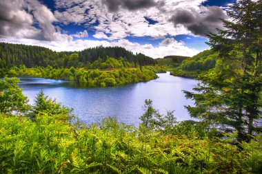 Fransa 'nın Occitanie bölgesindeki Montagne Noire kentindeki ormanlar, Kameralar Gölü' nü çevrelemektedir..