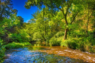 Fransız Occitania 'daki Orbieu Nehri. Kaynağı Aude 'deki Corbires' te..