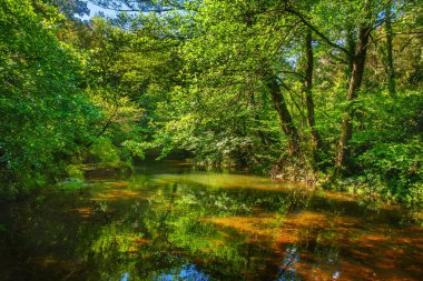 Fransız Occitania 'daki Orbieu Nehri. Kaynağı Aude 'deki Corbires' te..