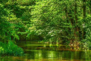 Fransız Occitania 'daki Orbieu Nehri. Kaynağı Aude 'deki Corbires' te..