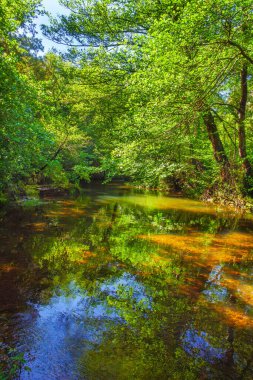 Fransız Occitania 'daki Orbieu Nehri. Kaynağı Aude 'deki Corbires' te..
