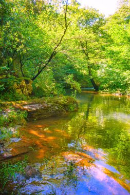 Fransız Occitania 'daki Orbieu Nehri. Kaynağı Aude 'deki Corbires' te..