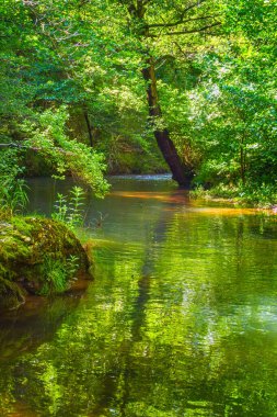 Fransız Occitania 'daki Orbieu Nehri. Kaynağı Aude 'deki Corbires' te..