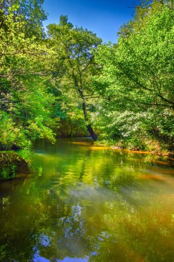 Fransız Occitania 'daki Orbieu Nehri. Kaynağı Aude 'deki Corbires' te..
