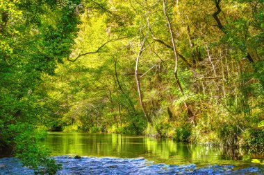 Fransız Occitania 'daki Orbieu Nehri. Kaynağı Aude 'deki Corbires' te..