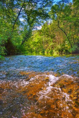 Fransız Occitania 'daki Orbieu Nehri. Kaynağı Aude 'deki Corbires' te..