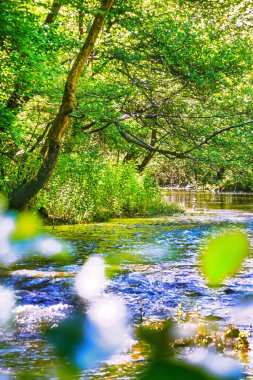 Fransız Occitania 'daki Orbieu Nehri. Kaynağı Aude 'deki Corbires' te..