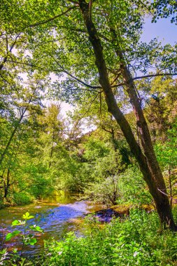 Fransız Occitania 'daki Orbieu Nehri. Kaynağı Aude 'deki Corbires' te..