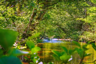 Fransız Occitania 'daki Orbieu Nehri. Kaynağı Aude 'deki Corbires' te..