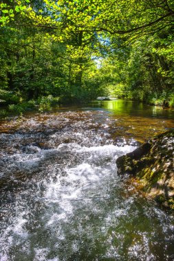 Fransız Occitania 'daki Orbieu Nehri. Kaynağı Aude 'deki Corbires' te..