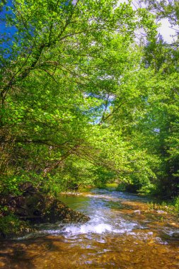 Fransız Occitania 'daki Orbieu Nehri. Kaynağı Aude 'deki Corbires' te..