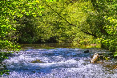 Fransız Occitania 'daki Orbieu Nehri. Kaynağı Aude 'deki Corbires' te..