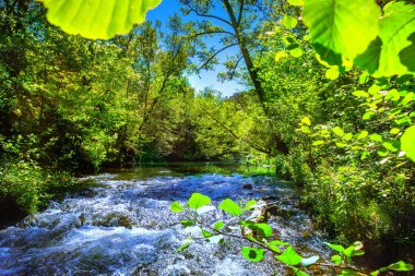 Fransız Occitania 'daki Orbieu Nehri. Kaynağı Aude 'deki Corbires' te..