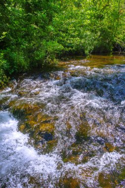 Fransız Occitania 'daki Orbieu Nehri. Kaynağı Aude 'deki Corbires' te..