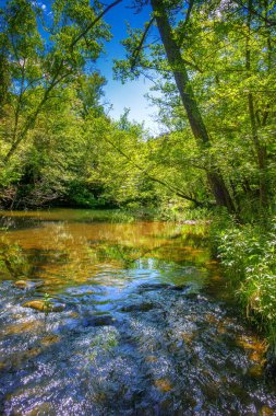 Fransız Occitania 'daki Orbieu Nehri. Kaynağı Aude 'deki Corbires' te..