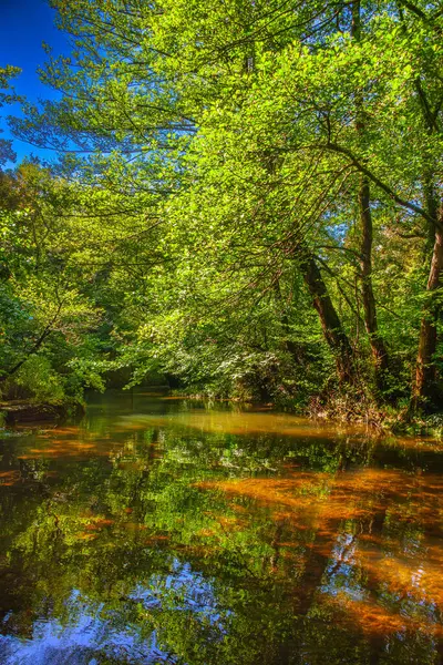 Fransız Occitania 'daki Orbieu Nehri. Kaynağı Aude 'deki Corbires' te..