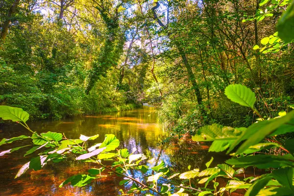 stock image The Orbieu River in French Occitania. Its source is in the Corbires in Aude.