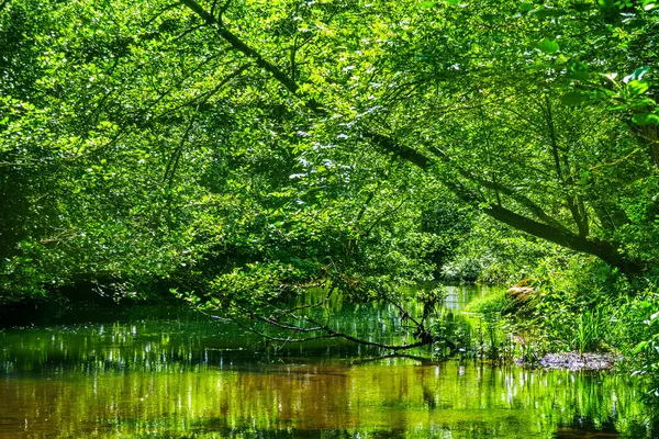 Fransız Occitania 'daki Orbieu Nehri. Kaynağı Aude 'deki Corbires' te..