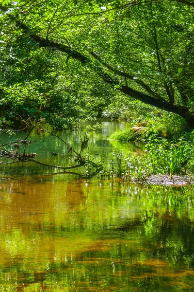 stock image The Orbieu River in French Occitania. Its source is in the Corbires in Aude.