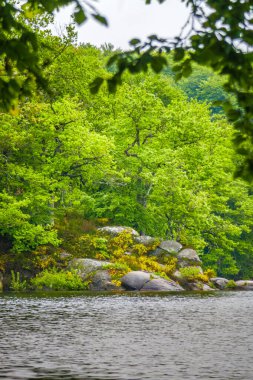 Lac du Lampy Fransa 'nın güneyindeki Occitanie bölgesinde Aude bölgesinde bulunan yapay göl. Bu göl, ormanlarla çevrili muhteşem bir doğal ortamda, Midi Kanalı 'na su sağlar..