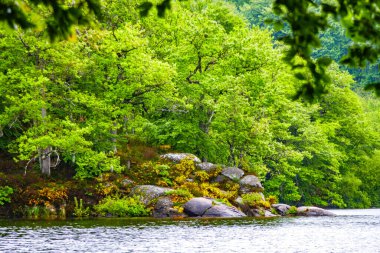 Lac du Lampy Fransa 'nın güneyindeki Occitanie bölgesinde Aude bölgesinde bulunan yapay göl. Bu göl, ormanlarla çevrili muhteşem bir doğal ortamda, Midi Kanalı 'na su sağlar..