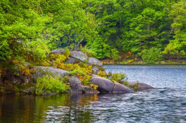 Lac du Lampy Fransa 'nın güneyindeki Occitanie bölgesinde Aude bölgesinde bulunan yapay göl. Bu göl, ormanlarla çevrili muhteşem bir doğal ortamda, Midi Kanalı 'na su sağlar..