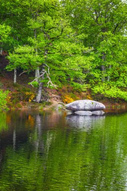 Lac du Lampy Fransa 'nın güneyindeki Occitanie bölgesinde Aude bölgesinde bulunan yapay göl. Bu göl, ormanlarla çevrili muhteşem bir doğal ortamda, Midi Kanalı 'na su sağlar..