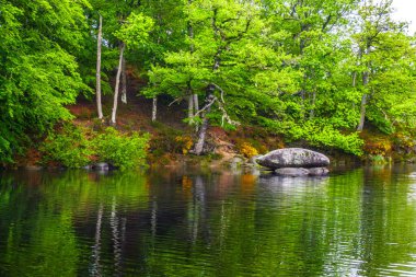 Lac du Lampy Fransa 'nın güneyindeki Occitanie bölgesinde Aude bölgesinde bulunan yapay göl. Bu göl, ormanlarla çevrili muhteşem bir doğal ortamda, Midi Kanalı 'na su sağlar..