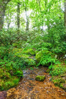 Lac du Lampy Fransa 'nın güneyindeki Occitanie bölgesinde Aude bölgesinde bulunan yapay göl. Bu göl, ormanlarla çevrili muhteşem bir doğal ortamda, Midi Kanalı 'na su sağlar..