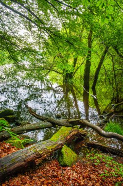 Lac du Lampy Fransa 'nın güneyindeki Occitanie bölgesinde Aude bölgesinde bulunan yapay göl. Bu göl, ormanlarla çevrili muhteşem bir doğal ortamda, Midi Kanalı 'na su sağlar..