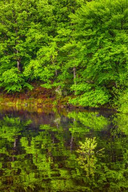 Lac du Lampy Fransa 'nın güneyindeki Occitanie bölgesinde Aude bölgesinde bulunan yapay göl. Bu göl, ormanlarla çevrili muhteşem bir doğal ortamda, Midi Kanalı 'na su sağlar..