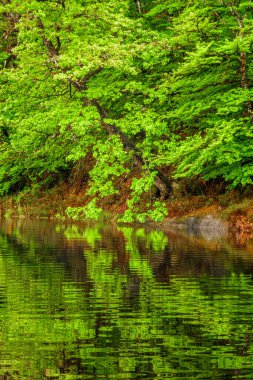 Lac du Lampy Fransa 'nın güneyindeki Occitanie bölgesinde Aude bölgesinde bulunan yapay göl. Bu göl, ormanlarla çevrili muhteşem bir doğal ortamda, Midi Kanalı 'na su sağlar..