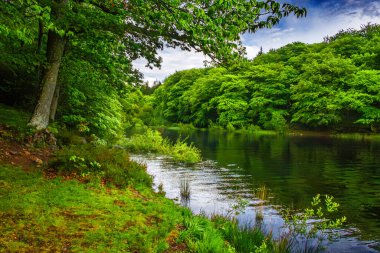 Lac du Lampy Fransa 'nın güneyindeki Occitanie bölgesinde Aude bölgesinde bulunan yapay göl. Bu göl, ormanlarla çevrili muhteşem bir doğal ortamda, Midi Kanalı 'na su sağlar..